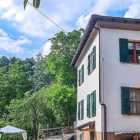 In *